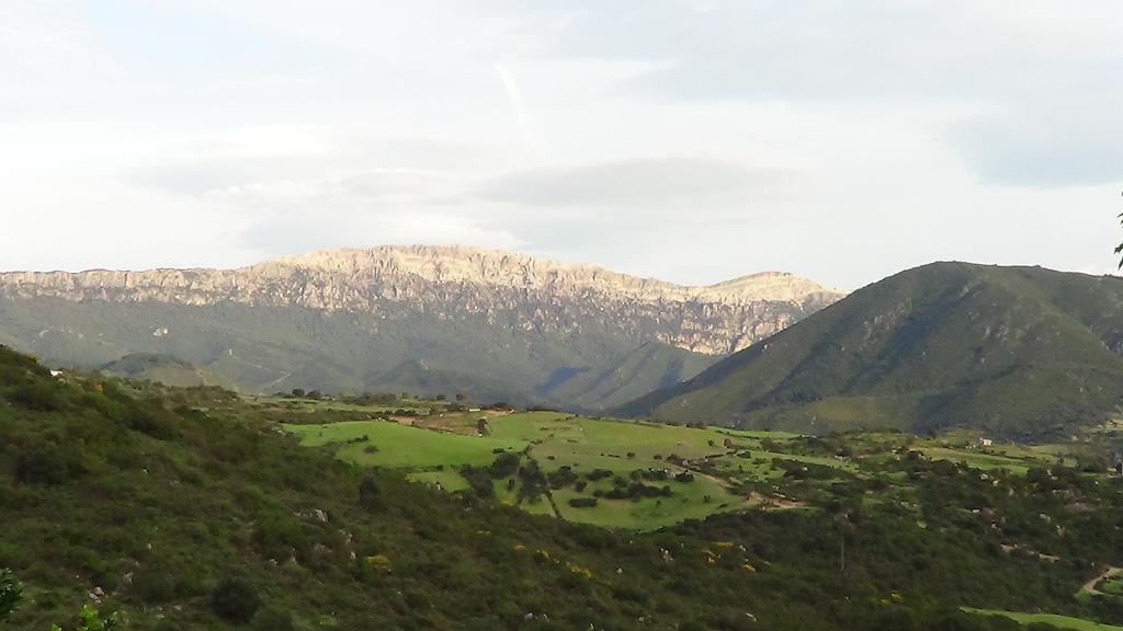 Affittcamere Jannas Orgosolo Esterno foto